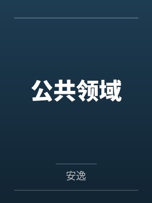公共领域 公共领域